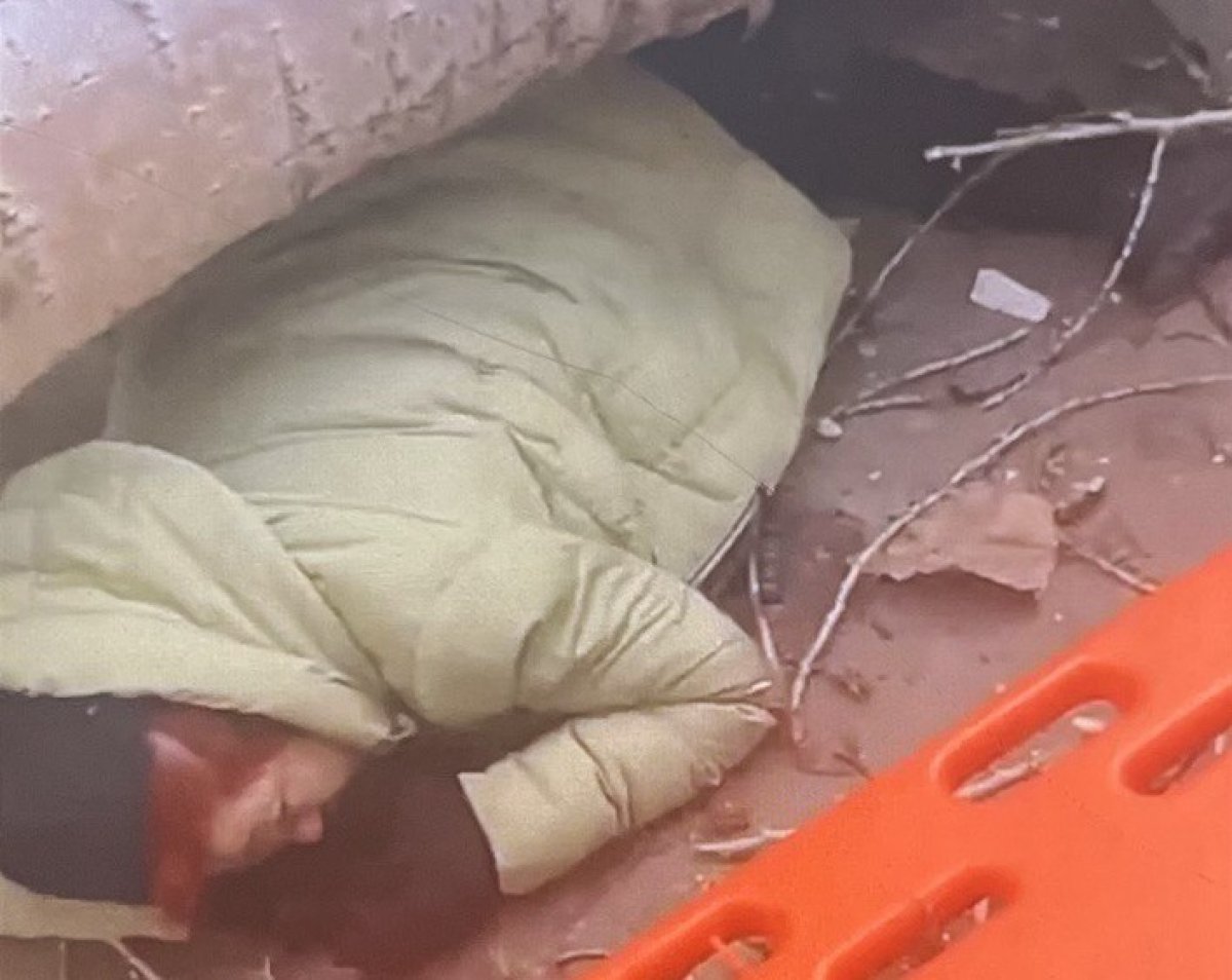 Павлодарку убило упавшее во дворе дерево