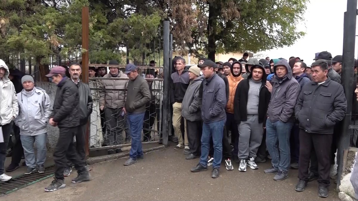 Түркістан облысы Сарыағаш ауданында жүздеген мигрант әкімшілік соттың есігін торуылдауға мәжбүр