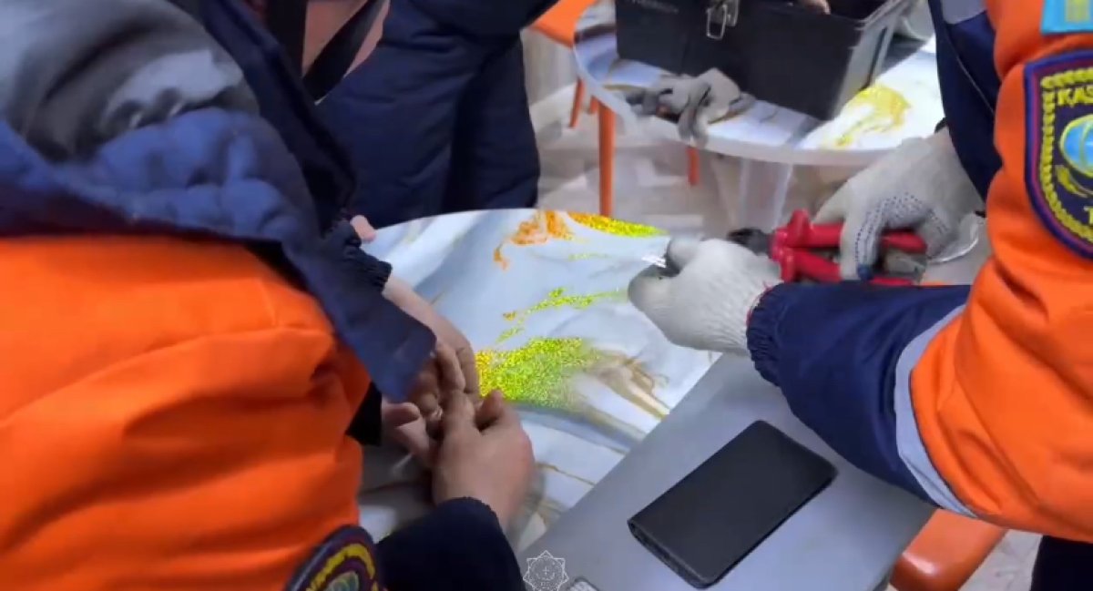 Спортсмену понадобилась помощь спасателей на тренировке в Усть-Каменогорске