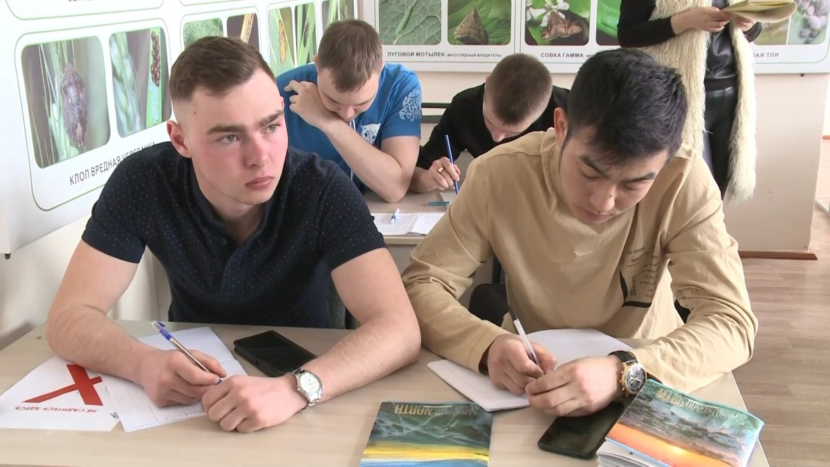 Қызылжарда “Серпін” бағдарламасымен оқыған жастардың көбі жұмыспен қамтылмай жатыр