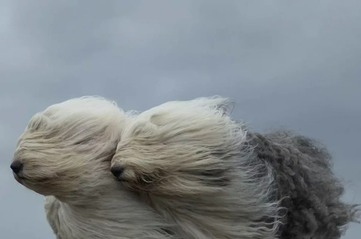 В Астане сильный ветер, в Шымкенте +6: прогноз погоды на четверг, 12 декабря