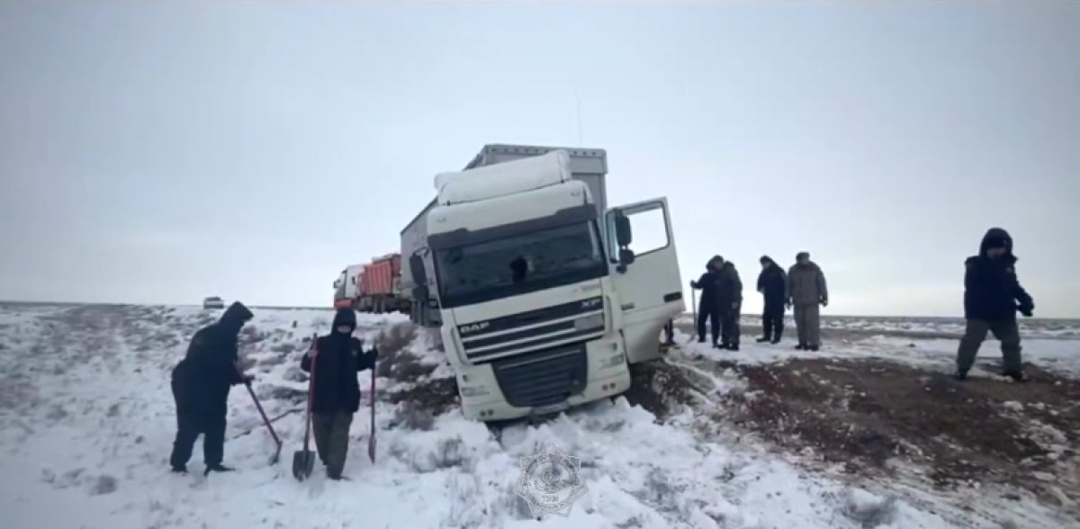 29 фур попали в снежный плен на трассе в Мангистау