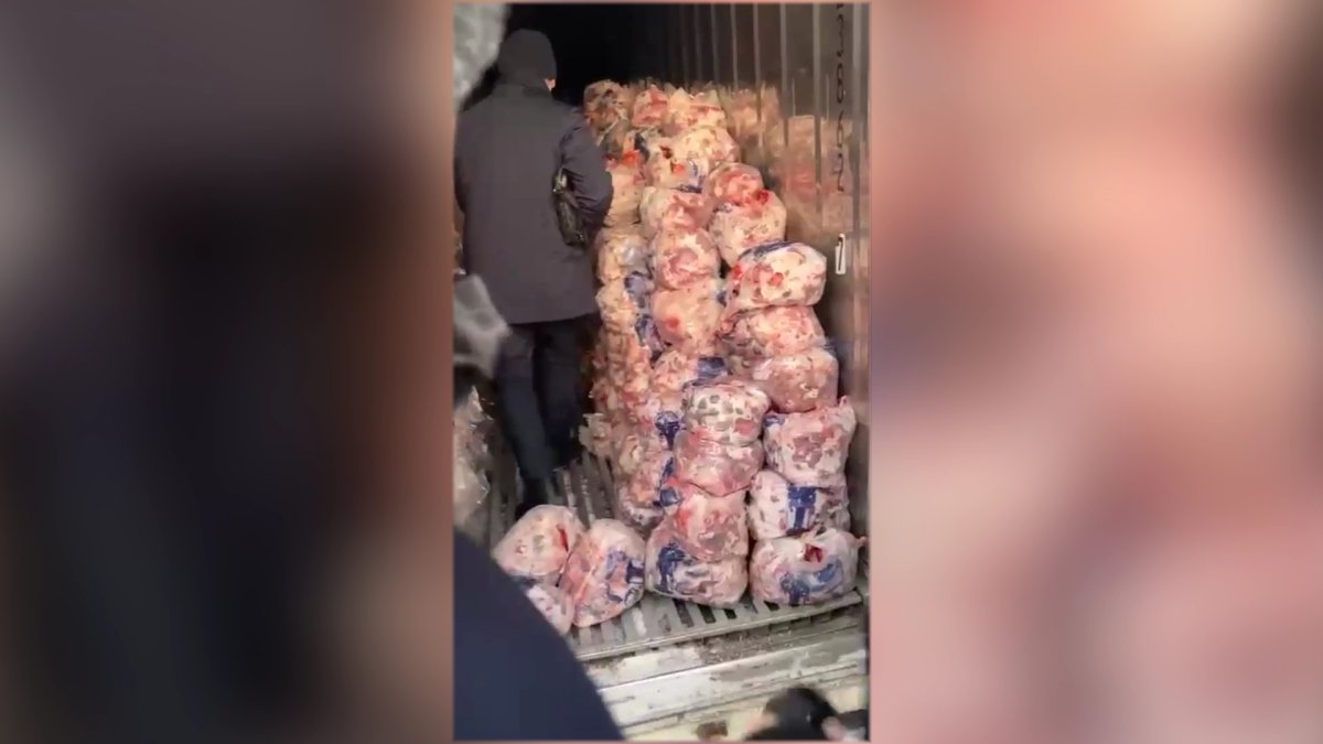 Опасное мясо: подпольные убойные цеха накрыли в Астане