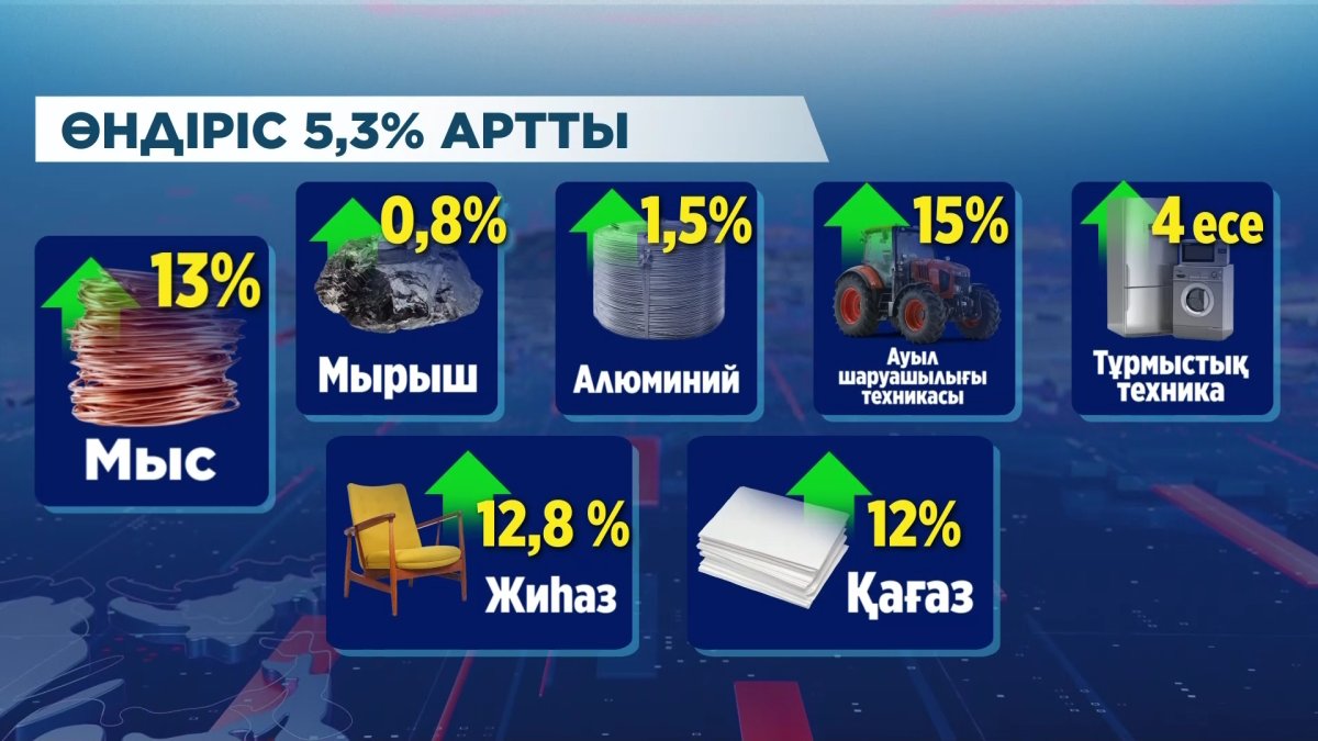 221 мың тонна ет импортталды