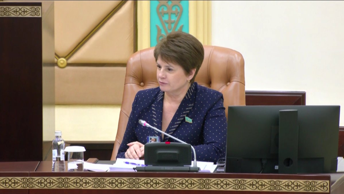 В Сенате презентовали проект нового Бюджетного кодекса РК