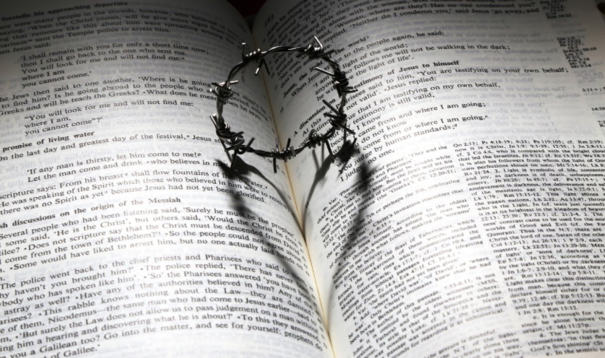 Прибыль получат Весы; у Раков - успех на работе: пятничный гороскоп на 19 декабря