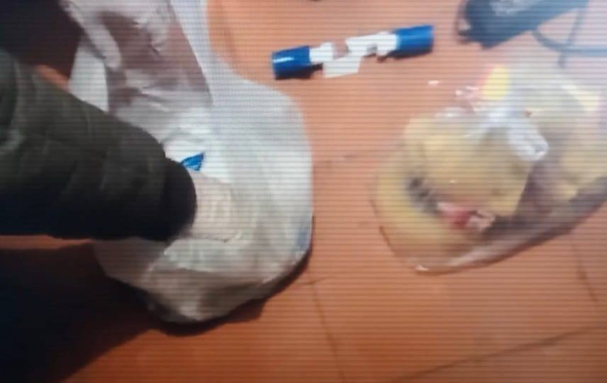 Семейная пара занималась изготовлением наркотиков в Алматы