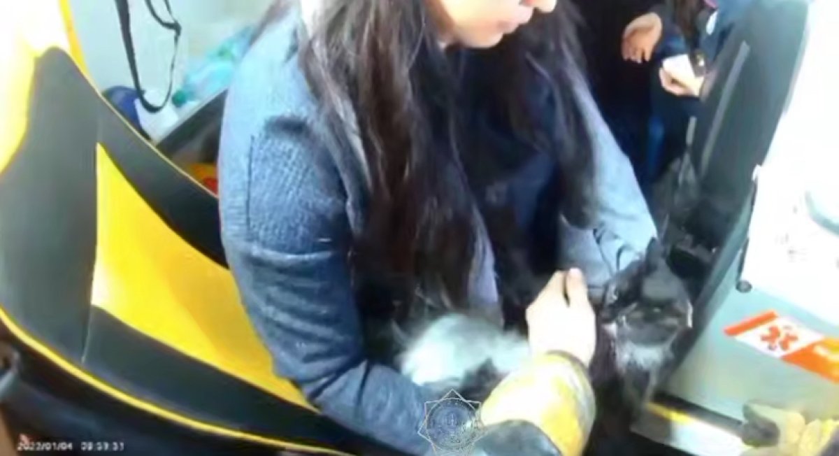 Котёнка вернули к жизни актюбинские спасатели