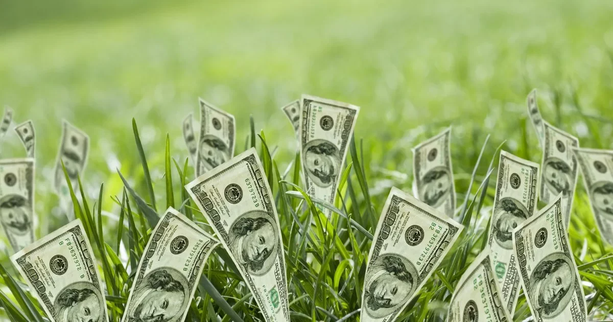 Козерогам понадобятся их связи, Рыбам везёт по-крупному: что сулят звёзды в субботу, 21 декабря