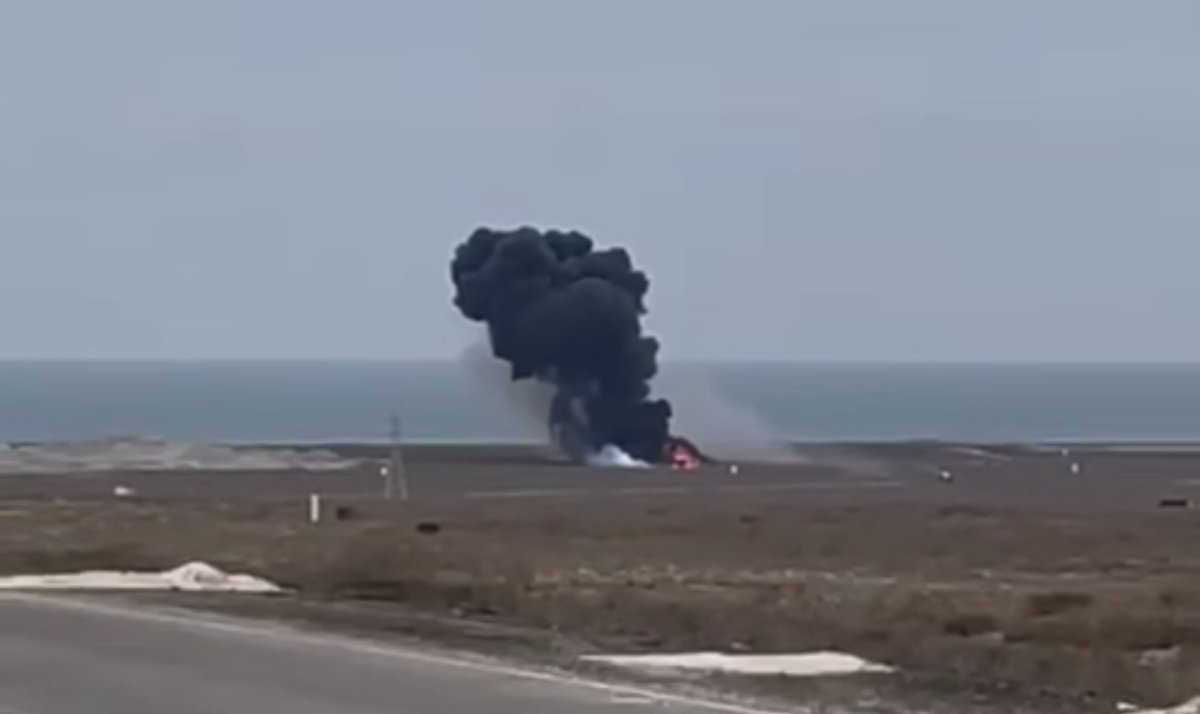 Граждане каких стран были на борту упавшего самолета, рассказали в Минтрансе