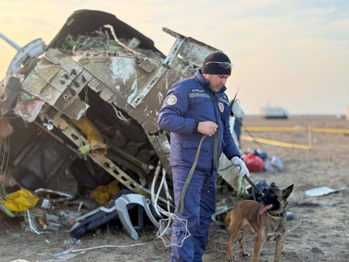 Оқиға салдарын жоюға 306 адам, 101 бірлік техника, 2 әуе кемесі және 6 кинологиялық есептоп жұмылдырылды