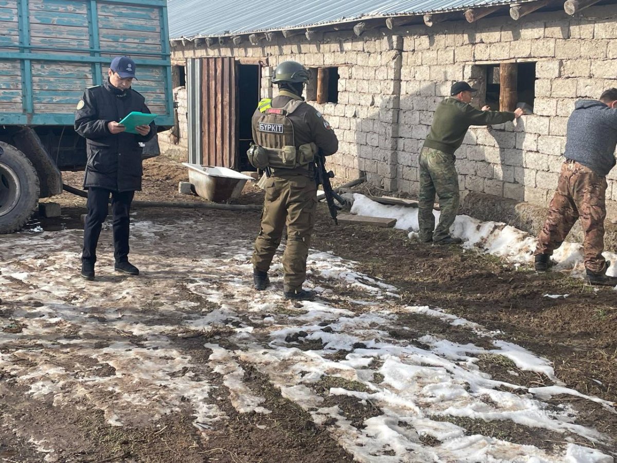 Туннель для контрабанды нефтепродуктов пресекли в Туркестанской области