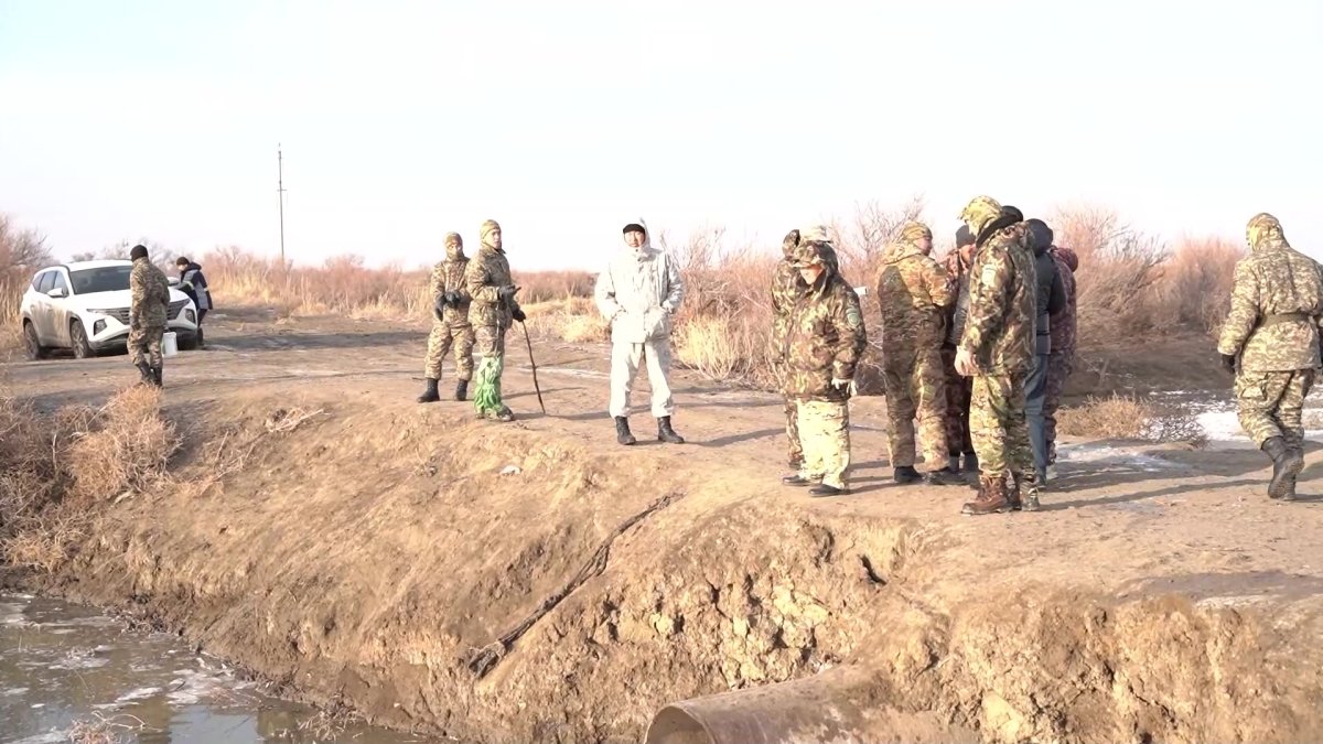 Атырауда балық шабақтары қырылып жатыр