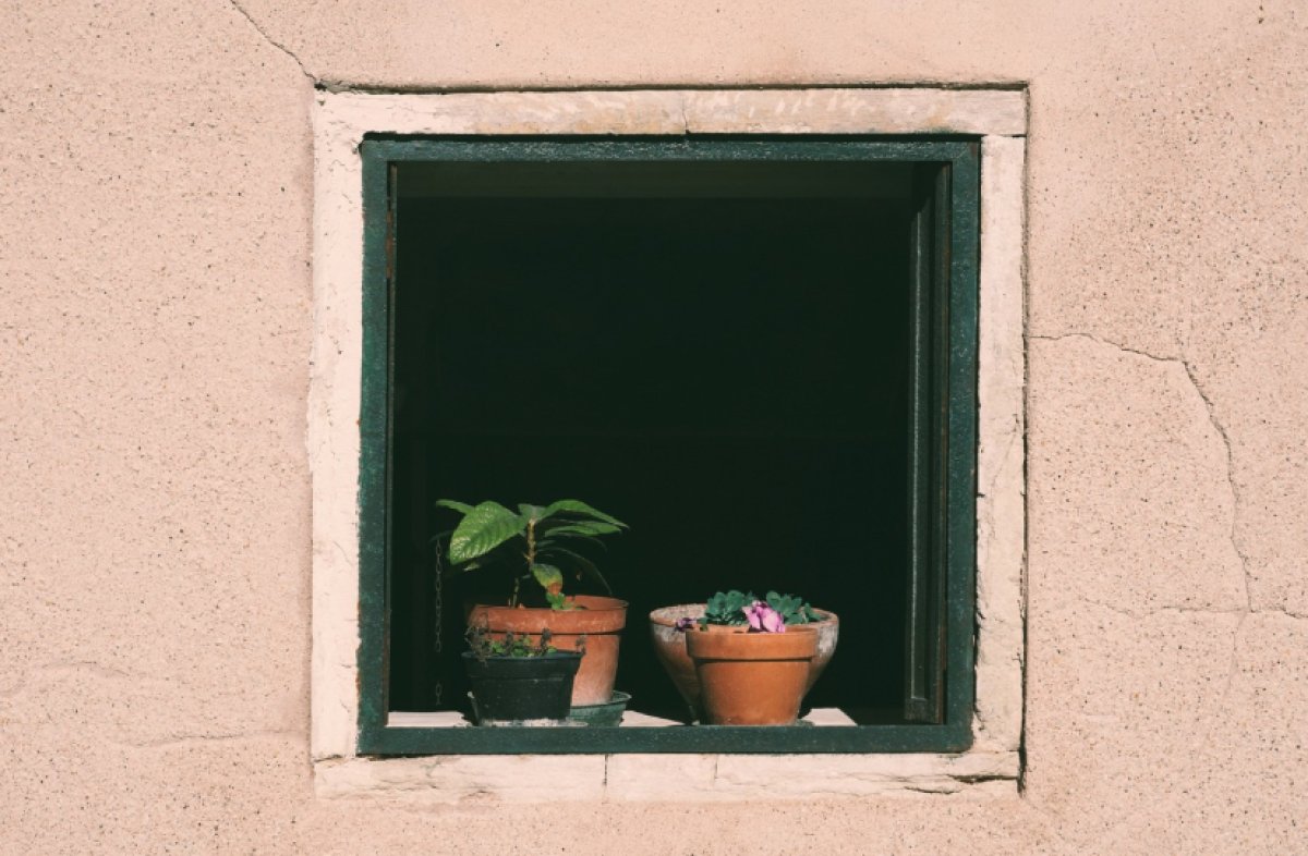 Окна на кухне запретили устанавливать в Афганистане из-за женщин