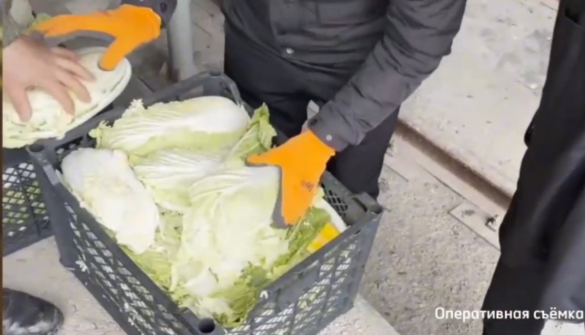 70 тысяч пачек сигарет без акциза в пекинской капусте пытались вывезти из Казахстана