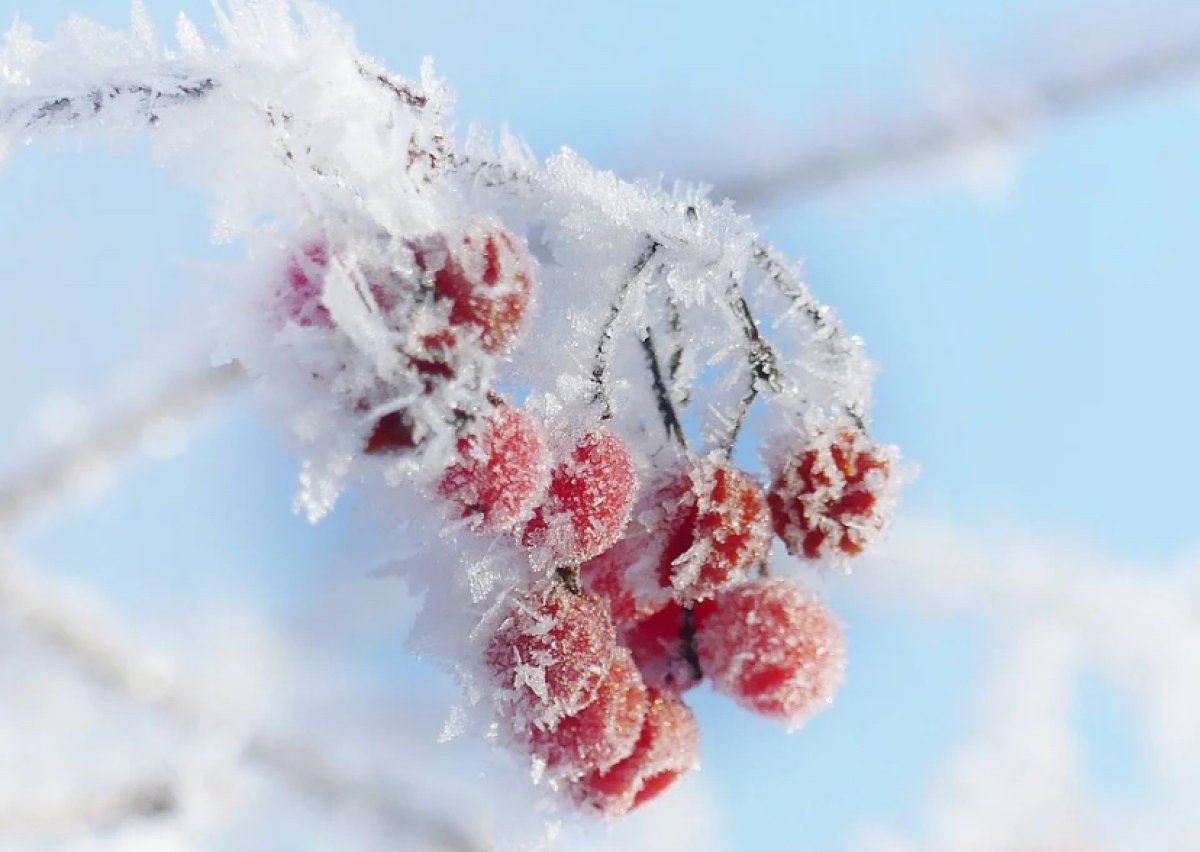 Морозы идут в Казахстан