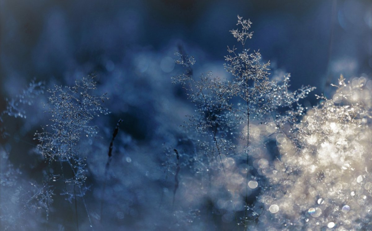 Школьников Астаны перевели на дистанционное обучение из-за мороза в понедельник