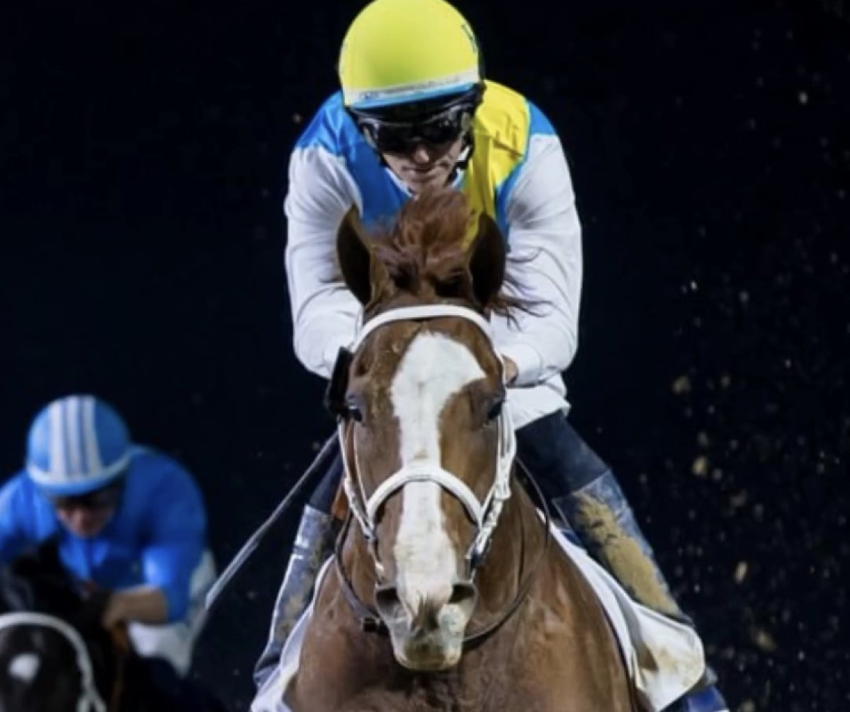 “Қалма, Кабирхан!”: Тұлпар иесінің толқыған сәті видеоға түсіп қалған