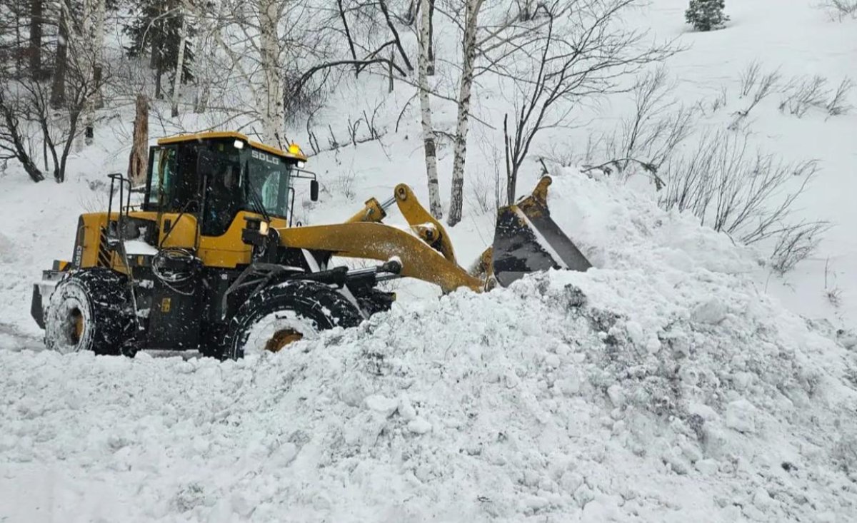 Шығыс Қазақстанда қар көшкіні жүрді