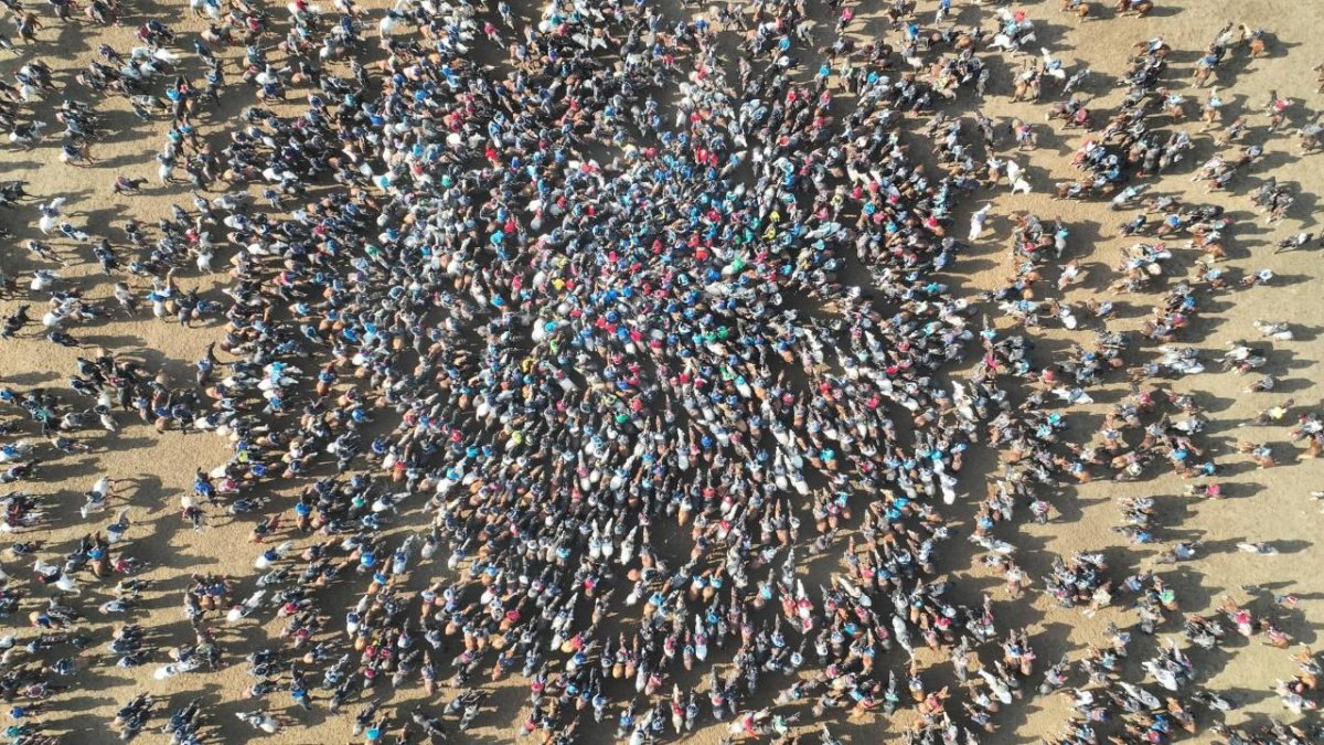 Кокпар на тысячу всадников провели в Арыси