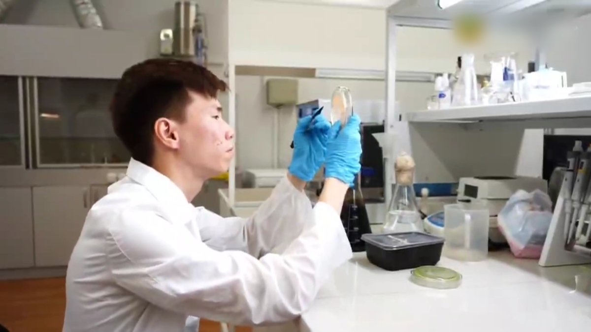 Атыраулық ғалым қант диабетіне шипалы сусын өндірді