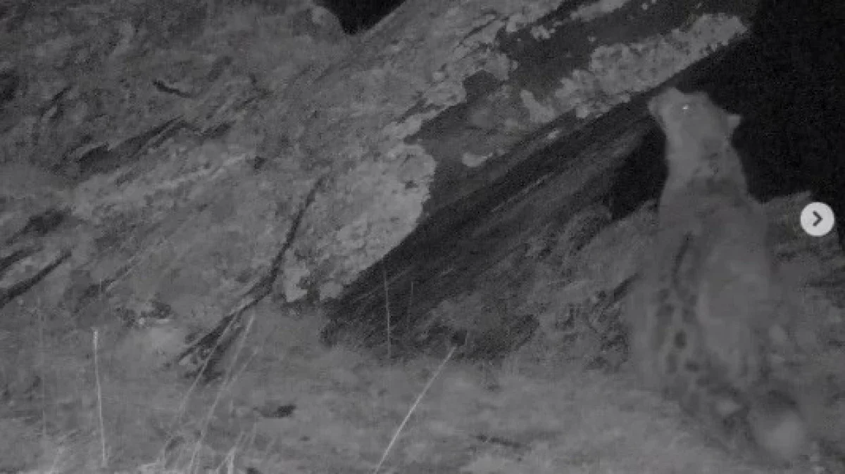 Шығыс Қазақстан облысында қар барысы камераға түсіп қалды