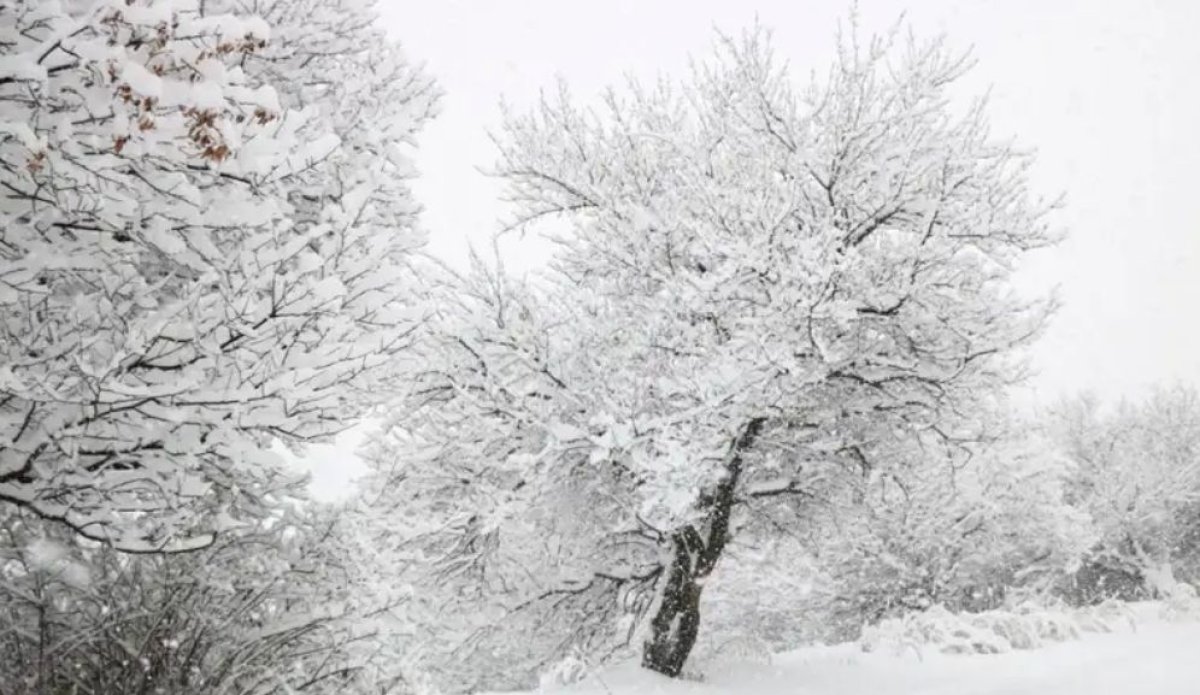 45 градусқа дейін аяз: синоптиктер ескерту жасады