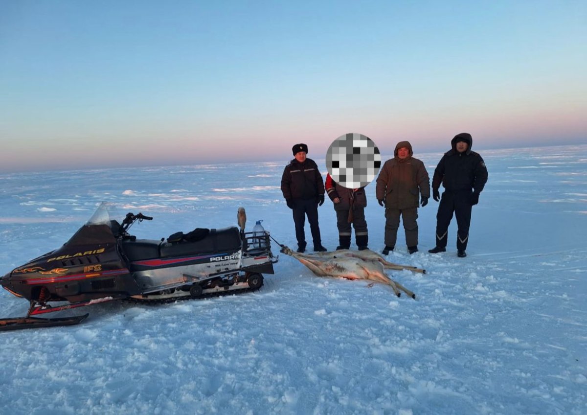 До трех лет тюрьмы грозит костанайцу за удачную охоту на косуль