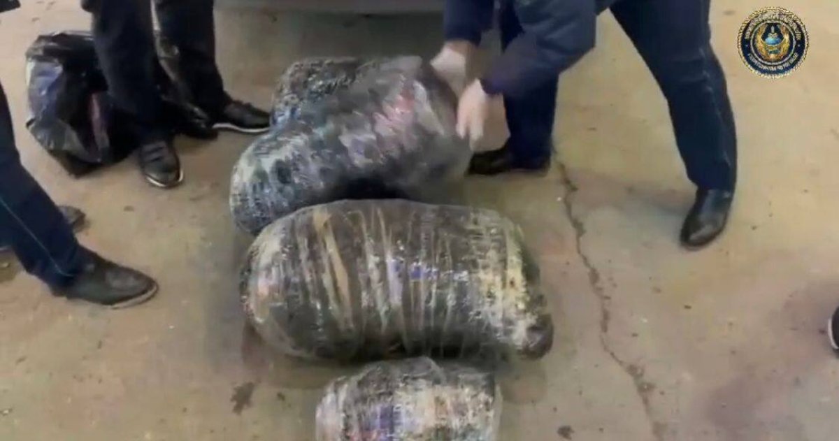 У двух жамбылских братьев нашли 65 килограммов марихуаны (ВИДЕО)