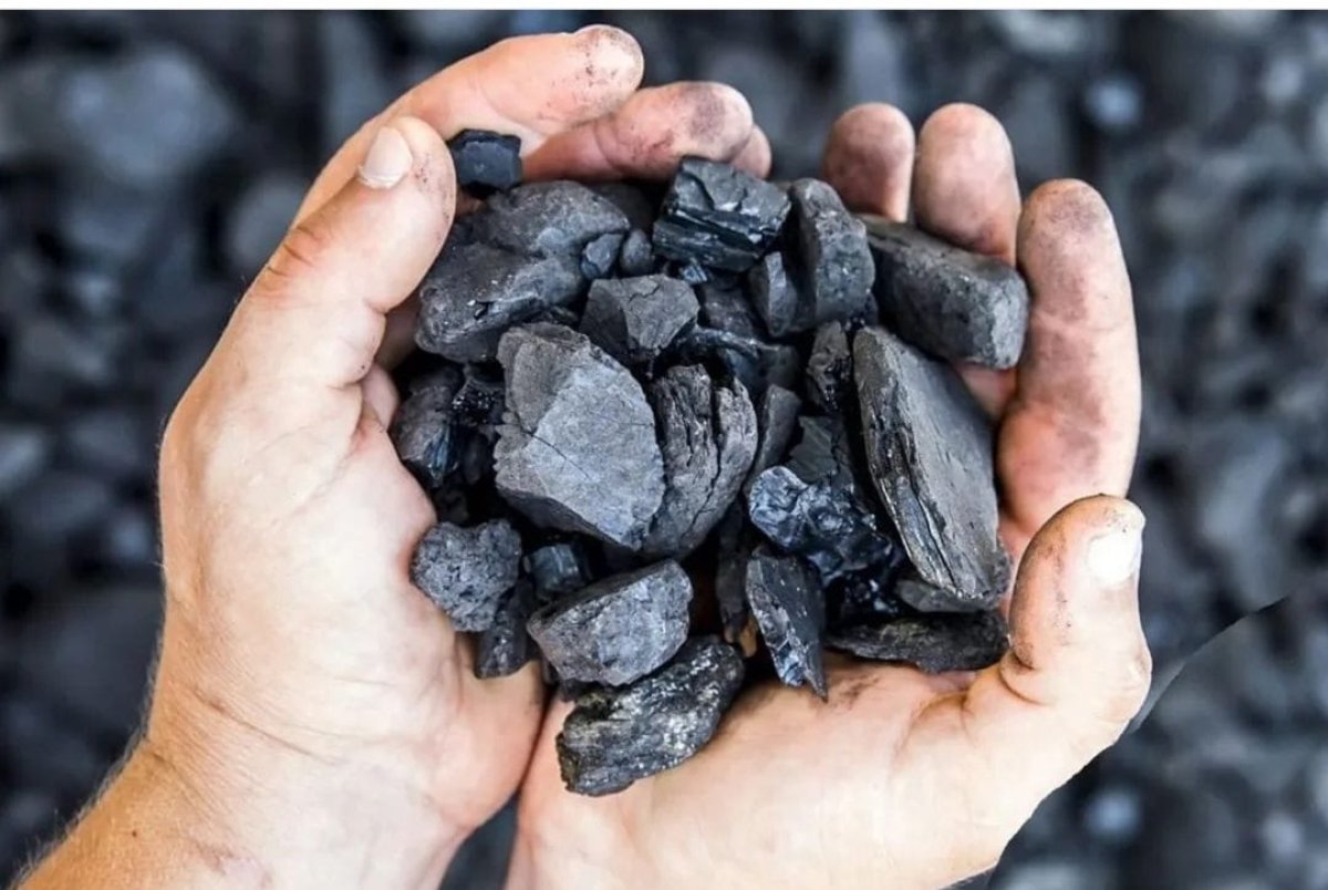 Жетісу облысында көмірге бөлінген қаржыны жымқырған кәсіпорын басшысы 7 жылға сотталды