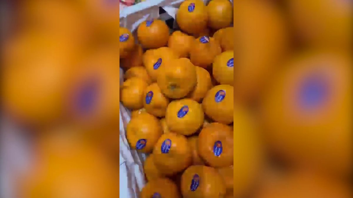 Ерекше балаларға арналған колледжде мерзімі өткен азық-түлік пен дәрі-дәрмек берген