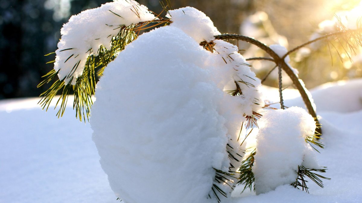 Морозы "отпустят" на севере страны