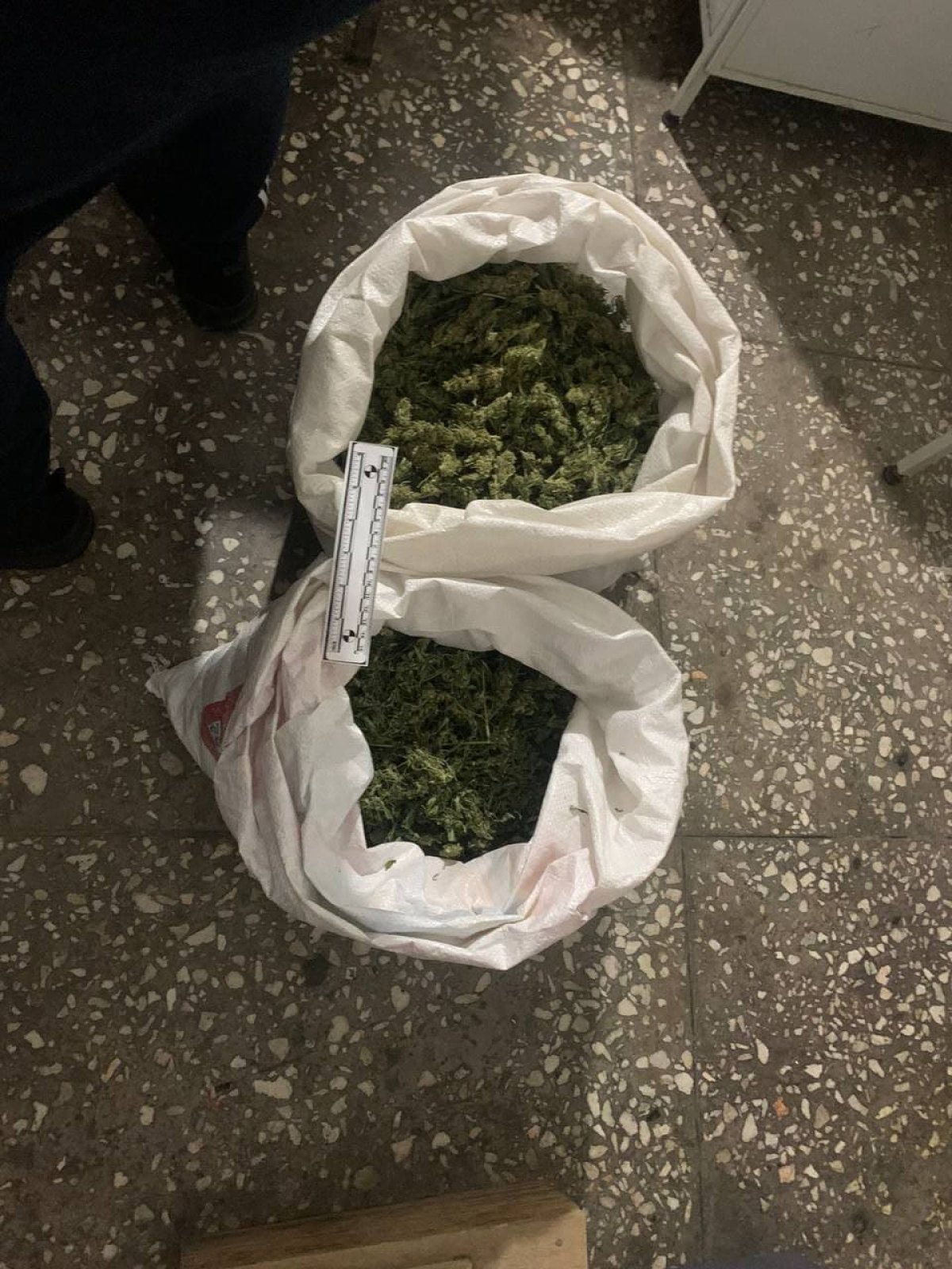 Индийскую марихуану на 10 млн тенге изъяли у жителя Жамбылской области