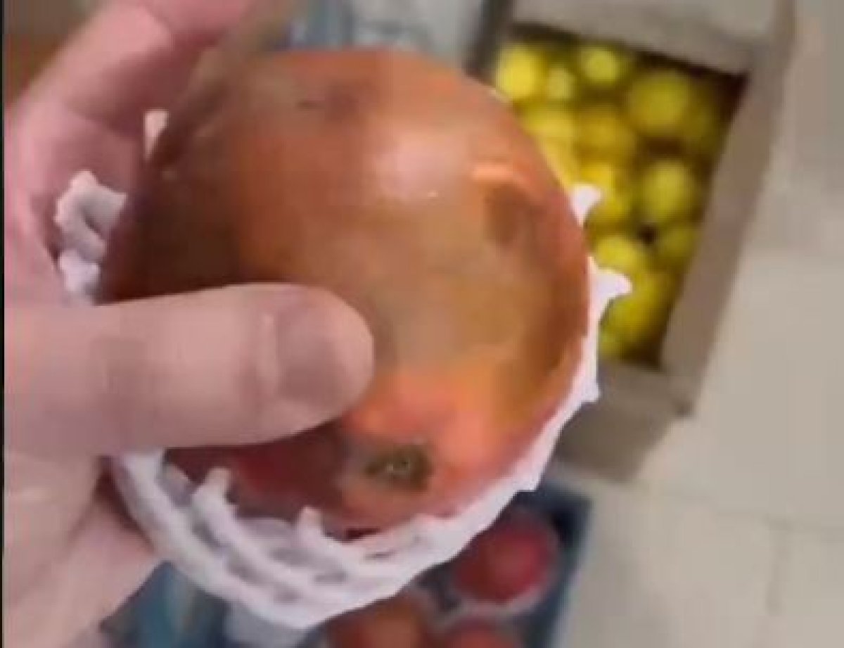 Студентов спецколледжа в Кентау кормили гнилыми фруктами