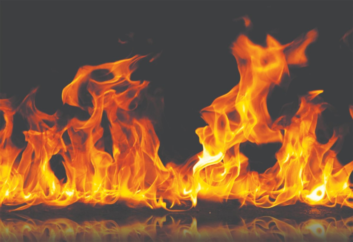 Қала шетінде өртеліп жатқан иттердің өлекселері жұртты шошытты