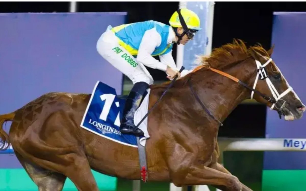 Кабирхан жылқысы тағы да Дубайда бәйгеге қатысады