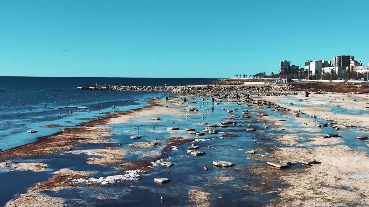 Расширять озера, углублять реки и экономить воду для спасения Каспия  предложил эколог - Телеканал «Астана»