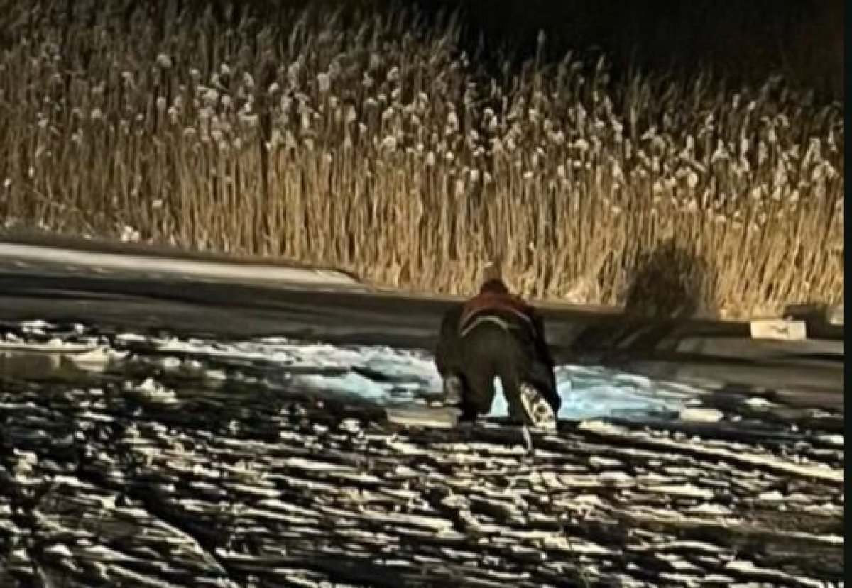 Автомобиль с тремя рыбаками провалился под лёд в Карагандинской области