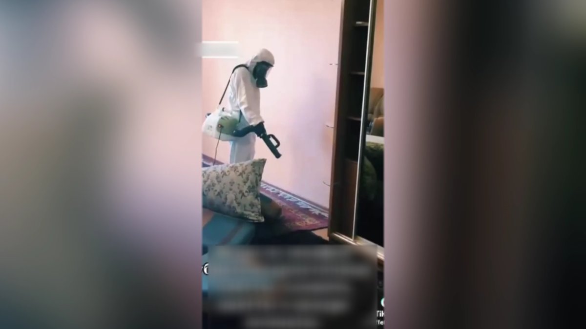 Астанада тышқан қаптады: одан келер зиян көп