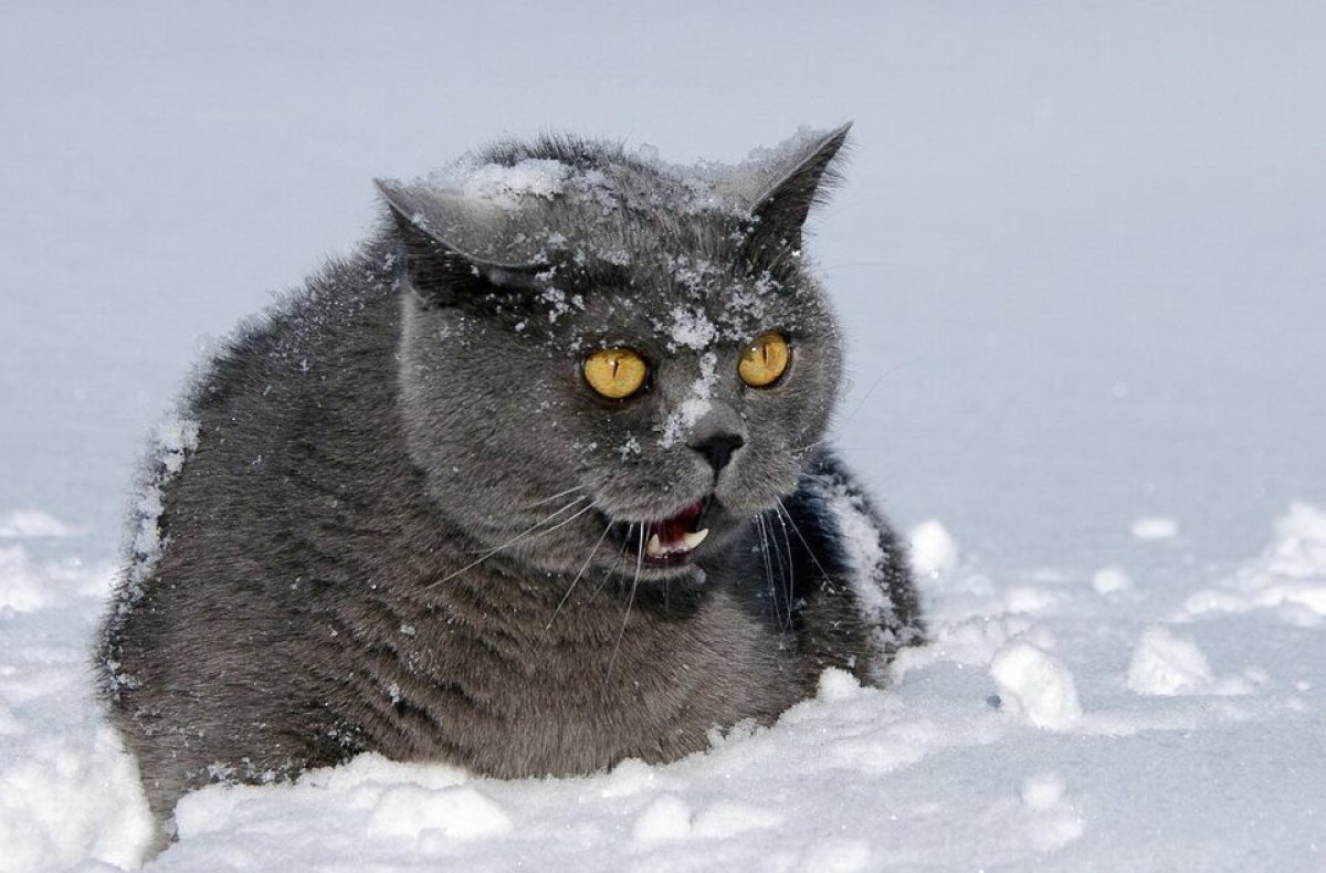 Март с морозами до -35 прогнозируют в Казахстане