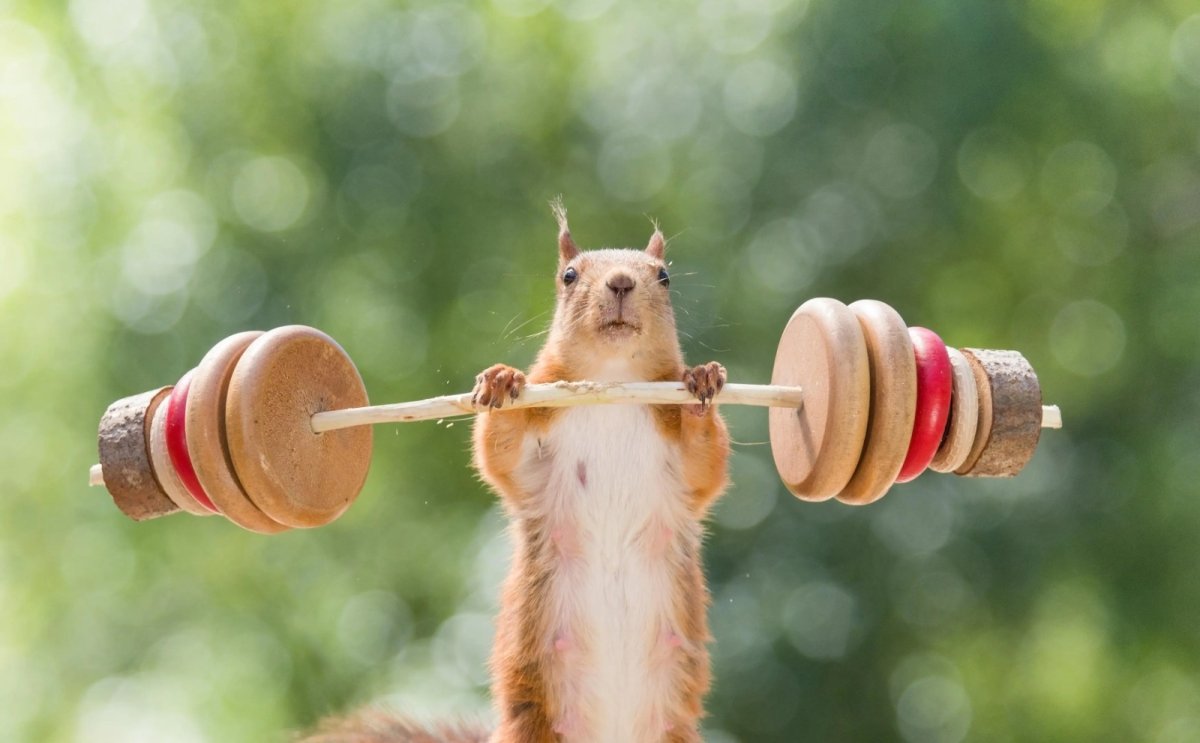 Львы, держите себя в руках, Водолеи, заряжайтесь позитивом: советы звёзд на 11 марта