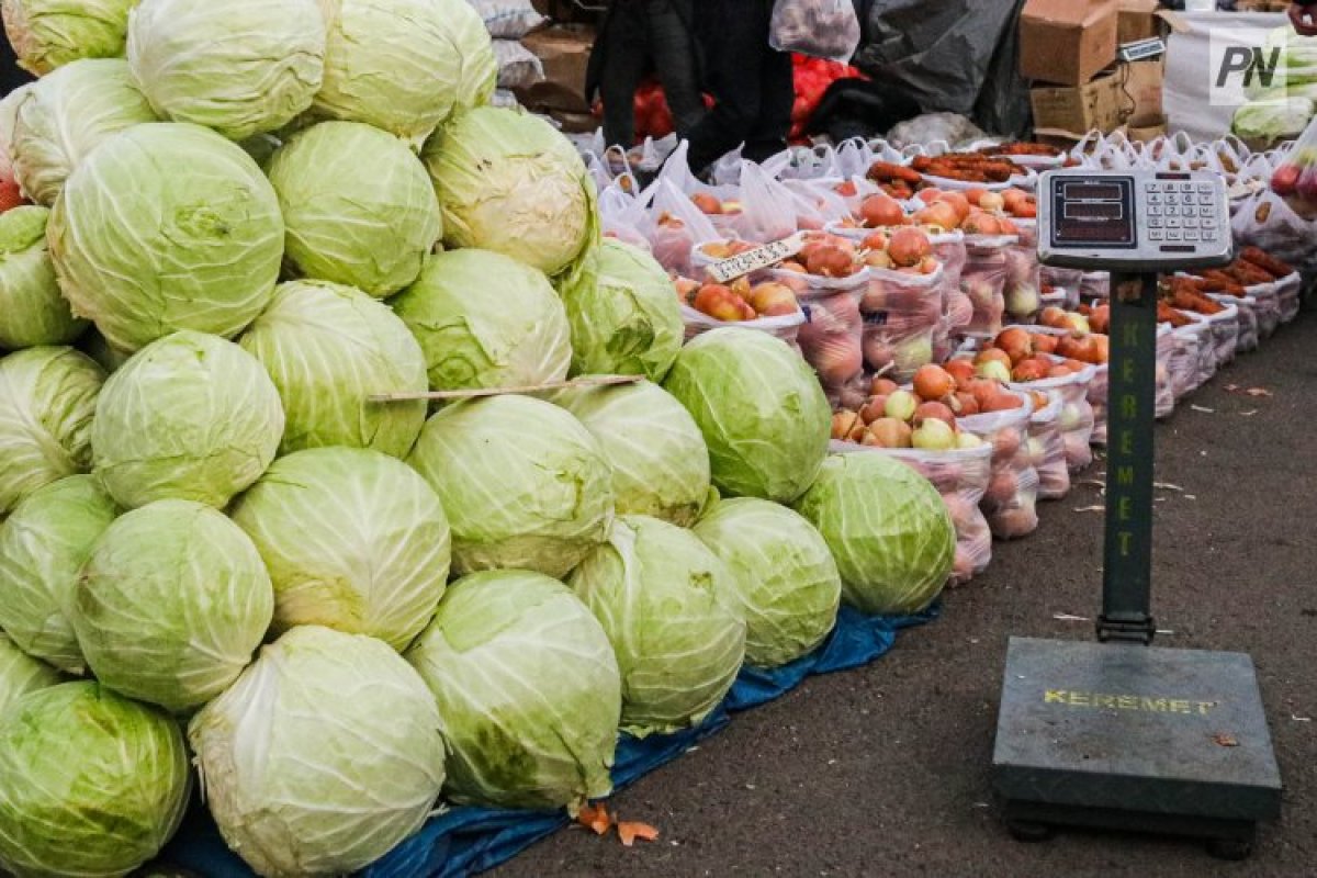 Павлодарда көкөніс сатқан Қырғызстан азаматтары жауапқа тартылды