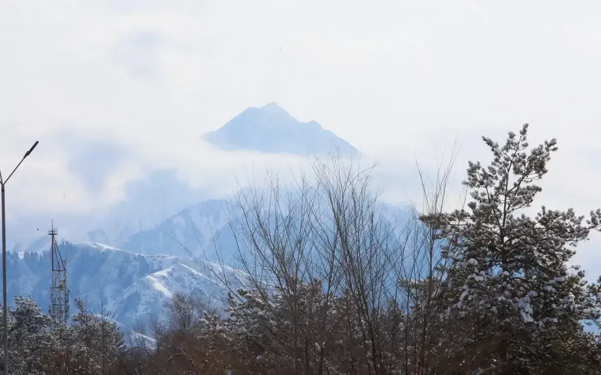 Алматыдан 522 шақырым аумақта жер сілкінді