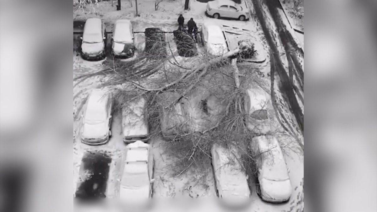 Алматыда 9 жол апаты болып, 3 адам жарақаттанды