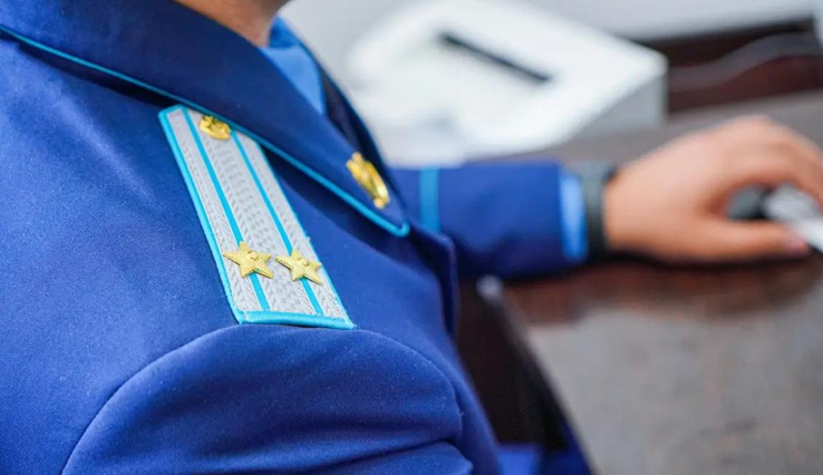 ШҚО-да орман шаруашылығы мекемелері 112 кәсіпкерге өз міндеттерін жүктеп, заңға қайшы келісімшарт жасасқан