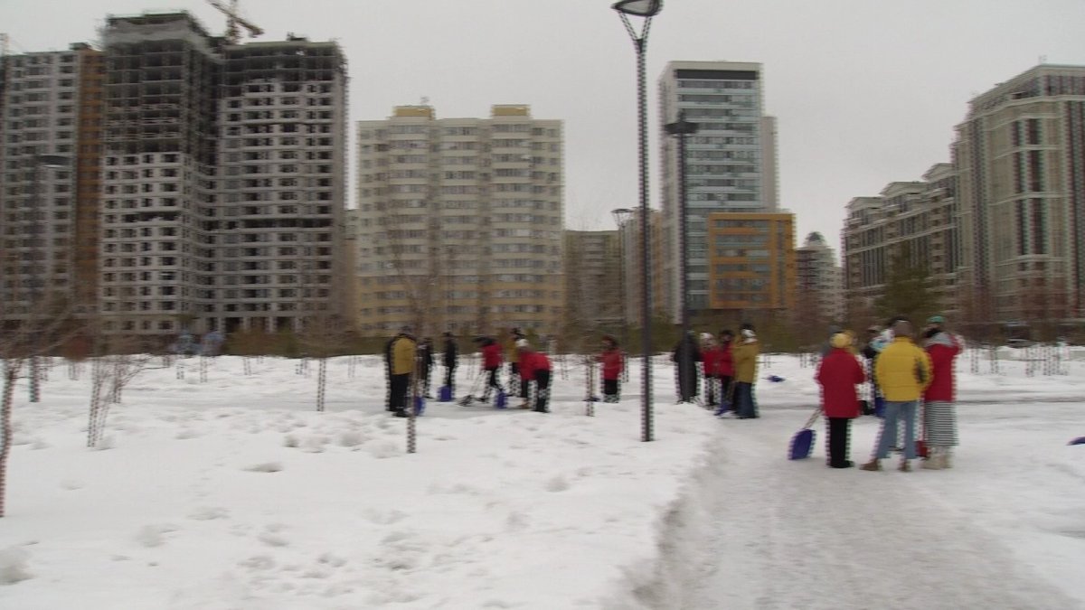 День обновления: около 50 столичных волонтёров очистили парк от снега