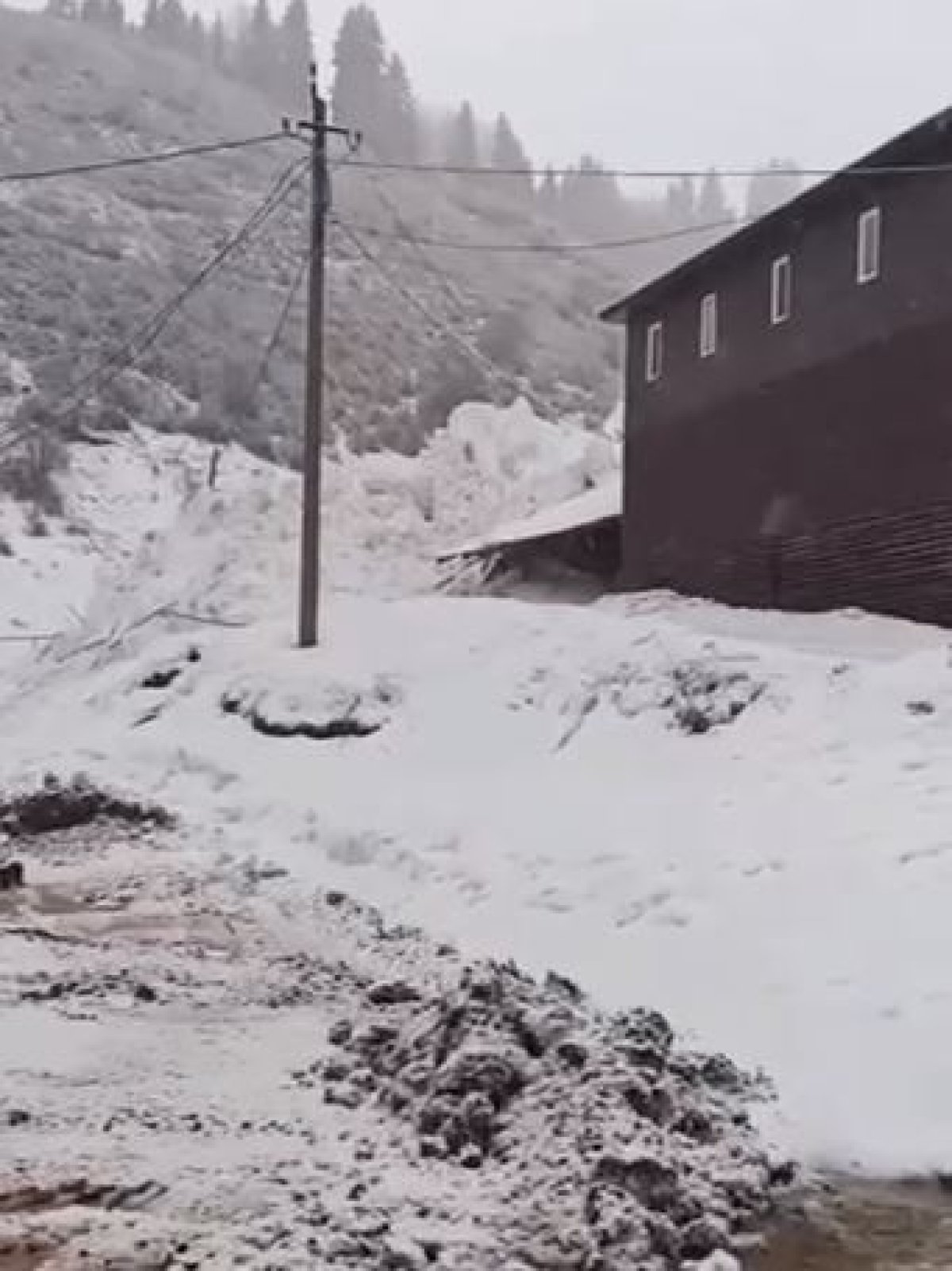 Лавина сошла близ горнолыжного курорта в Алматинской области
