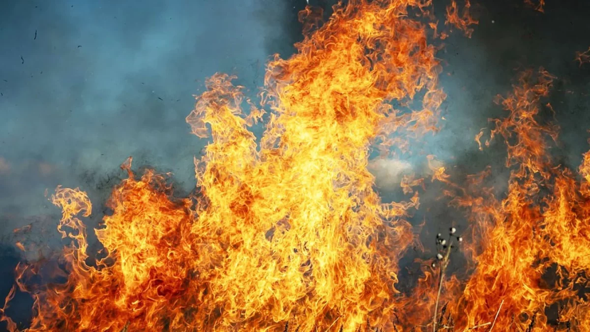 Мужчина погиб при пожаре в Караганде