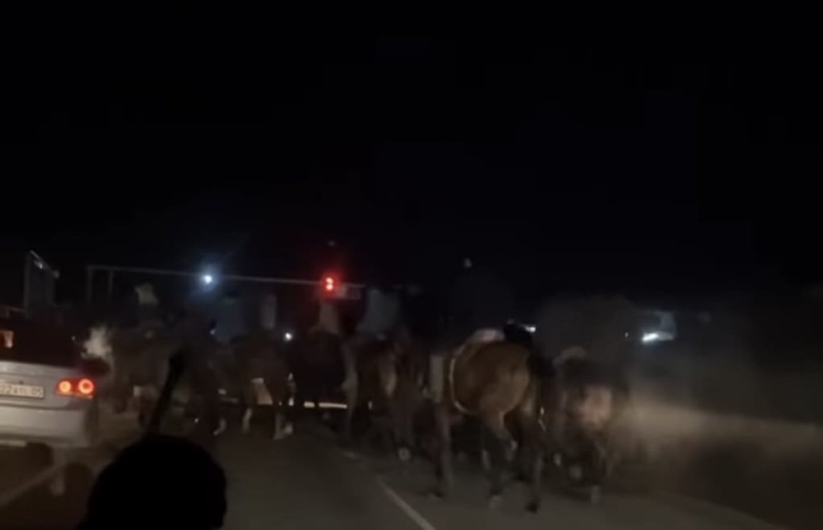 Несколько десятков человек наказали за кокпар в Алматинской области