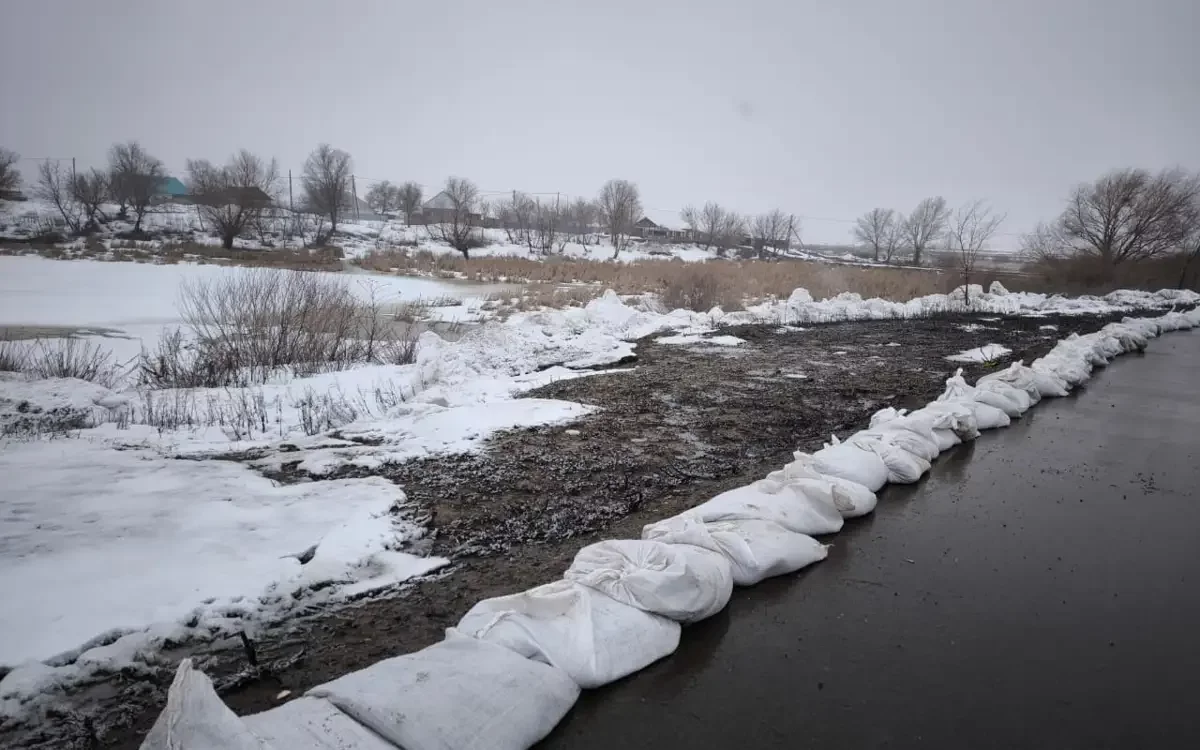 БҚО-да Шыңғырлау өзені арнасынан асып, бір ауылға су кірді